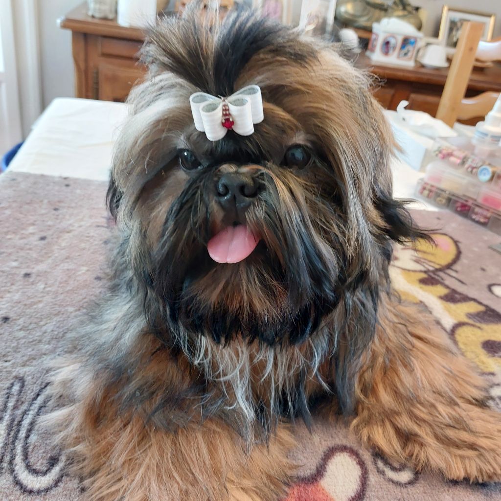 Vie t'a  vie mei lan Des Trésors De Kailash