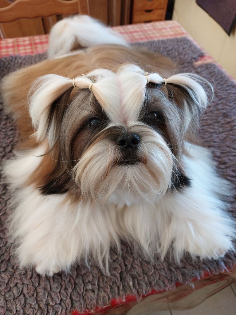 solaris avis Y'paparazzi dit takeo