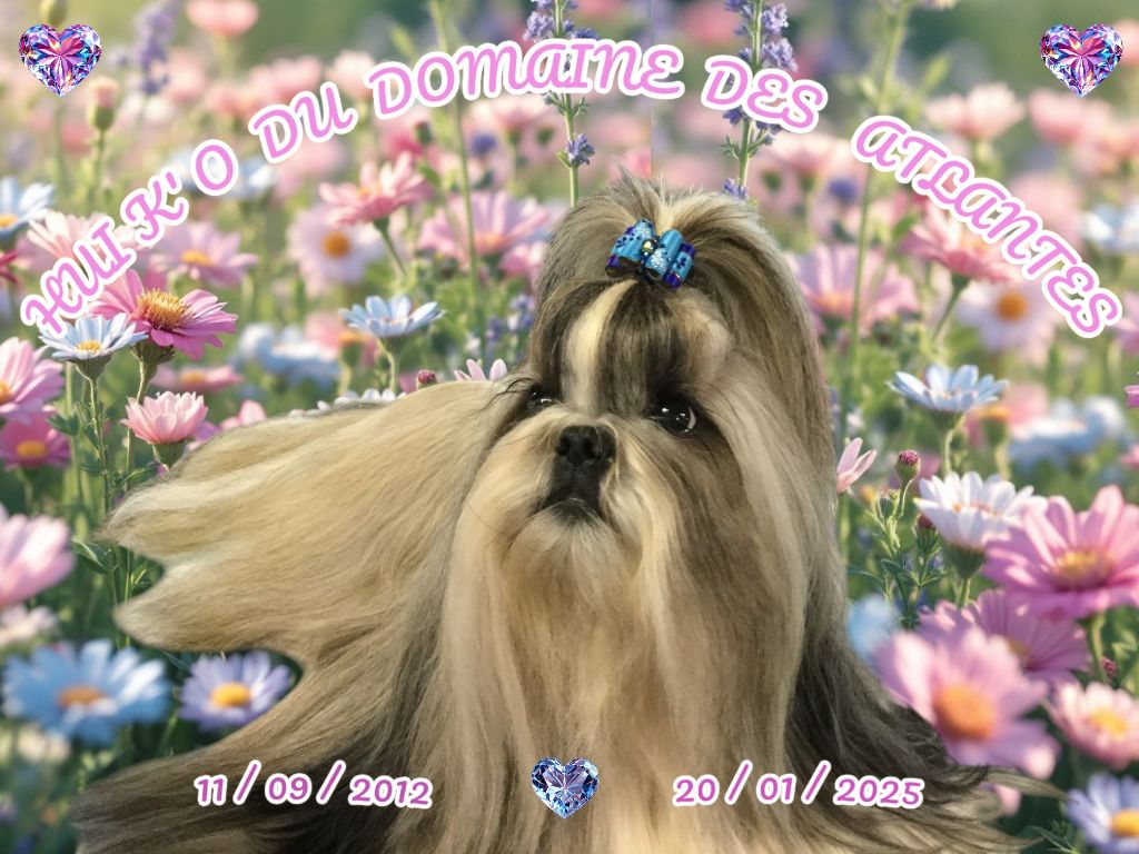 Hui k'o Du domaine des atlantes